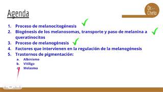 Melanogénesis y trastornos de pigmentación [upl. by Eceela]