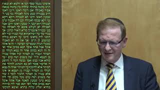 Talmud Daf Yomi Bekhorot 7 Rabbi Dr Moshe Weisblum תלמוד דף יומי בכורות ז הרב דquotר משה ויסבלום [upl. by Adnawt704]