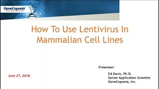 How To Use Lentivirus In Mammalian Cell Lines [upl. by Oaoj]