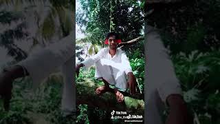 Manichitrathazhu comedy pappu chettan [upl. by Ulric]