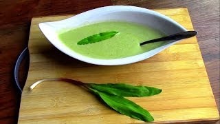 Wild Food Foraging Leeks  Ramps  made into Delicious Soup [upl. by Hobbs585]