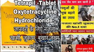 Oxytetracycline Hydrochloride Tablets Tetrapil tablets for Animal Use जानवरो मे उपयोग ली जाने वाली [upl. by Gayleen756]