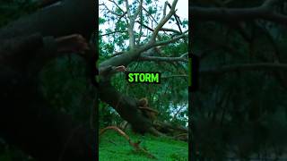 tropical strom weather news northcarolina warl charlotte hurricane debby flood floods [upl. by Ahsenid802]