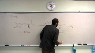 Prodrug MiniLecture 002  LDOPA to Dopamine [upl. by Stannfield]