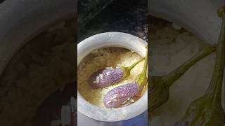 Bengali bagun varta shorts video  cooking  varta racipe  trending  viral video [upl. by Laundes]