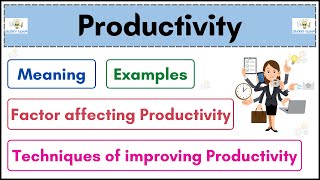 No09  Productivity  Meaning  Example  Techniques  Factor affecting Productivity  Hindi [upl. by Nastassia]