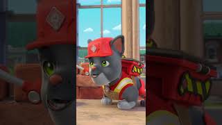 ¡Marshall de PAW Patrol Canta la Canción quotThe Pup Familyquot con Rubble y Equipo Shorts [upl. by Devehcoy806]