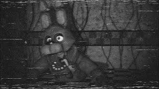 THE MOST TERRYIFING FNAF VHS TAPES YOU WILL EVER SEE [upl. by Ilrebmik576]