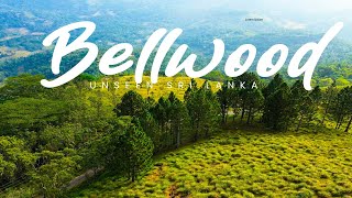 Bellwood  Unseen Sri Lanka [upl. by Ecidna82]