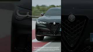 Alfa Romeo Stelvio  Quadrifoglio Super Sport [upl. by Santana243]