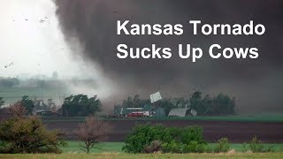 Kansas tornado sucks up cows and blows farm apart [upl. by Mahau657]