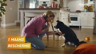 FRONTPRO® Kauwtabletten voor honden [upl. by Penney]