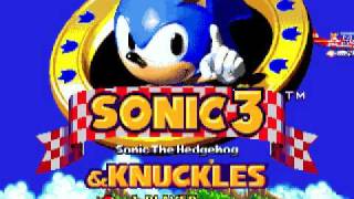 Sonic 3 And Knuckles OST  Ice Cap Act 1 [upl. by Madelle953]