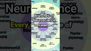 Different Branches of Neuroscience [upl. by Tai578]