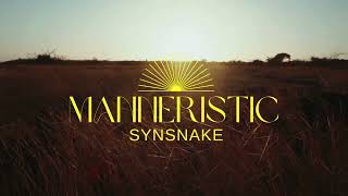 Synsnake  Manneristic  Vocal Cover with Lyric [upl. by Gaut]