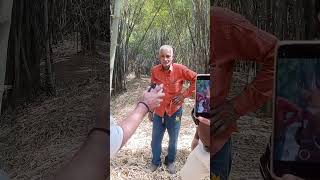 Jabalpur Bamboo plantation of Dendrocalamus strictus [upl. by Noryb111]