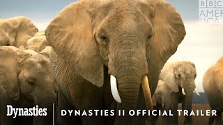 Dynasties Season 1 Trailer  Rotten Tomatoes TV [upl. by Niawd]