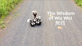 The Wisdom of Wu Wei Nonaction [upl. by Hazelton]