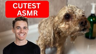 THE CUTEST PUPPY  ASMR Dog Grooming [upl. by Bowra]