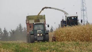 Usługi dla Rolnictwa Michał Czajkowski cięcie kukurydzy 2015 2xFendt Claas [upl. by Takakura]