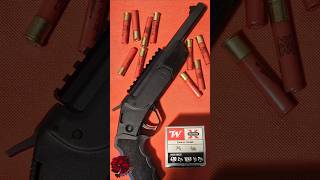 Winchester Super X 410 amp Rossi Brawler [upl. by Ellora]