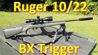 Ruger 1022 BX Trigger Will it make you a better shot [upl. by Airretnahs782]