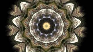 Splendor of Color Kaleidoscope Video v12 Psychedelic Meditation Visuals for Stoners and Trippers [upl. by Cummine]