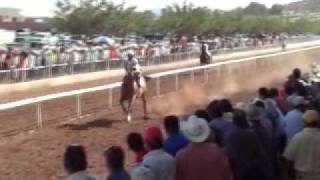 Horse racing in Chihuahua Mexico [upl. by Suoivatco]