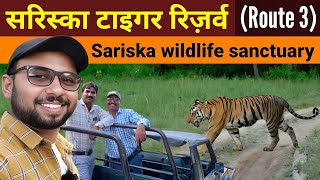 Sariska Tiger reserve Route 3  Jungle Safari  Sariska Wildlife sanctuary  Sariska National Park [upl. by Celle283]