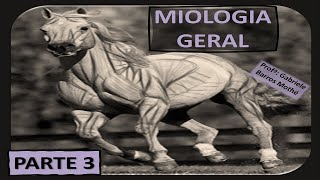 MIOLOGIA GERAL  parte 3 anatomia veterinária [upl. by Wylen732]