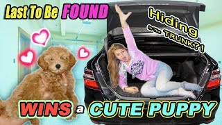 Last To Be Found Wins CUTE Baby PUPPY Tannerites Hide And Seek GAME [upl. by Ledif]