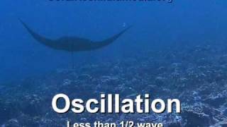 Undulation vs Oscillation [upl. by Amaleta]