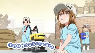 Sayangi Trombositmu ada loli dalam nadi  HATARAKU SAIBOU [upl. by Akemed404]