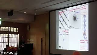 Dr Katsuya Inoue SKCM2 Macroscopic spin phase order in chiral magnets [upl. by Nylle812]