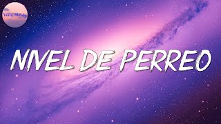 🎵 J Balvin Ryan Castro  Nivel De Perreo Letra [upl. by Aekal]