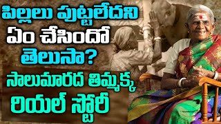 పిల్లలు పుట్టలేదని ఎం చేసిందో తెలుసా  Padmasri Saalumarada Thimmakka  TELUGU WAVES [upl. by Abil]