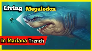 Living Megalodon In The Mariana Trench   shorts [upl. by Audry]