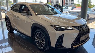 NEW Lexus UX 2024  InDepth Walkaround [upl. by Notsnorb]