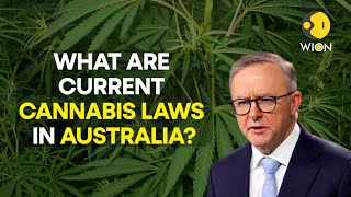 Is Australia all set to legalise cannabis Watch all details here  WION Originals [upl. by Far552]