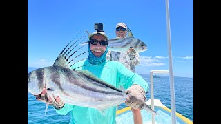 Baha Mexico  Sea of Cortez Early May 2023 Fly Fishing for Rooster Fish [upl. by Eissac]