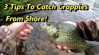 3 Crappie Fishing Tips Guaranteed To Catch Crappies From Shore [upl. by Nahgiem]