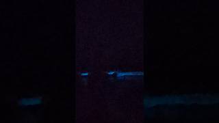 Bioluminescence Waves  Palavakkam Beach  Chennai oct2024 [upl. by Marlie]