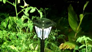 Solar LED night lighting for greenhouse [upl. by Zeke]