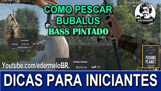 Como pescar Ictiobus Bubalus e Bass pintado no Lago Lone Star  Fishing Planet 🎣 [upl. by Prosser173]