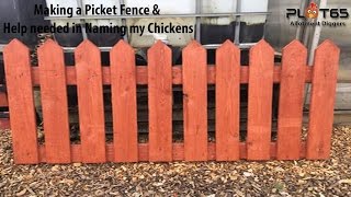 Making A Picket Fence amp Help Needed Naming The Chickens [upl. by Anasiul]