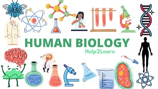 Human Biology Cofactors and Coenzymes [upl. by Adoree]