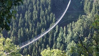 Längste Hängeseilbrücke in Deutschland Geierlay  360 Meter [upl. by Rambow]