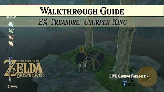 Breath of the Wild  EX Treasure Usurper King DLC 2 Side Mission [upl. by Kozloski]