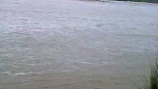 bhangi cho flood hoshiarpur [upl. by Northrup]