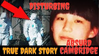 TRUE Dark Absurd Disturbing MASTERPIECE Story [upl. by Funch72]